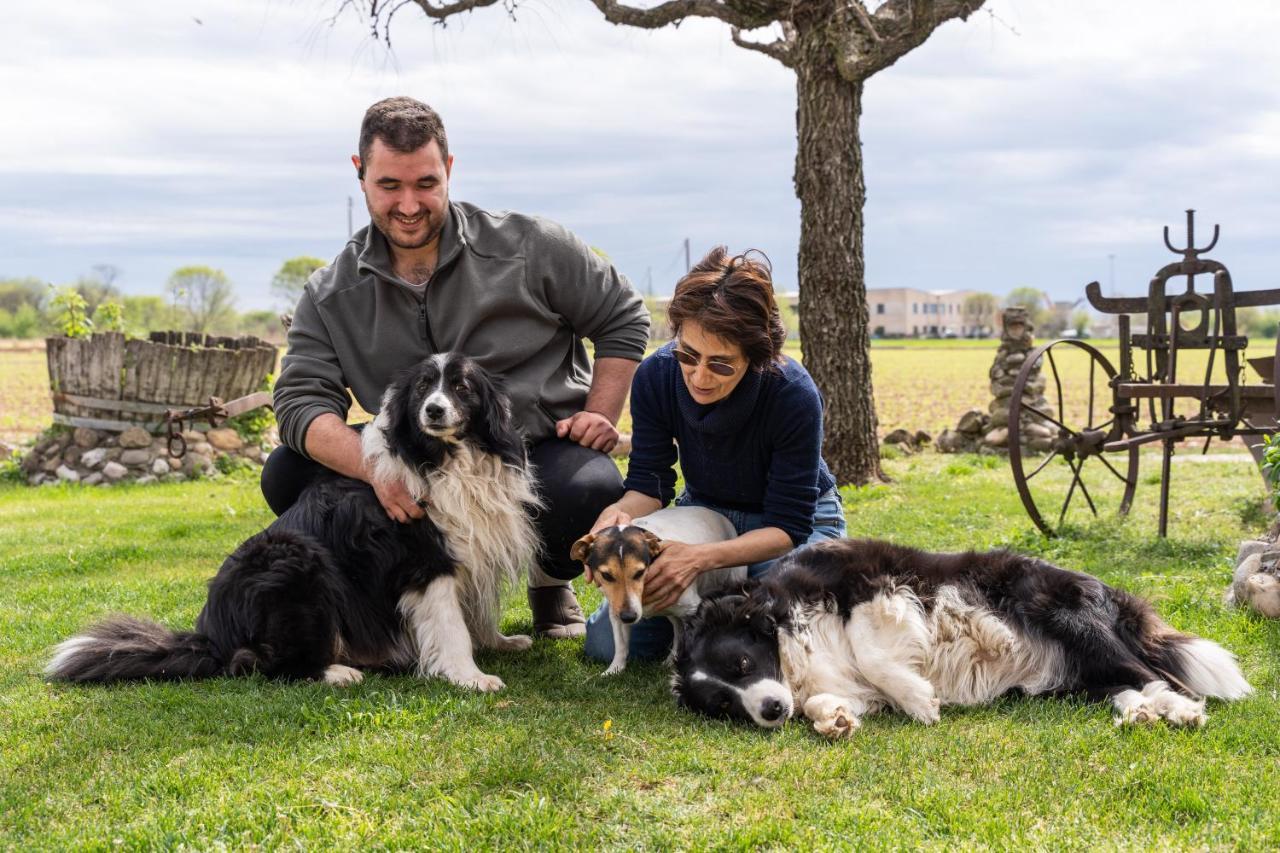 Agriturismo Pozzo Fiorito Castiglione delle Stiviere Kültér fotó