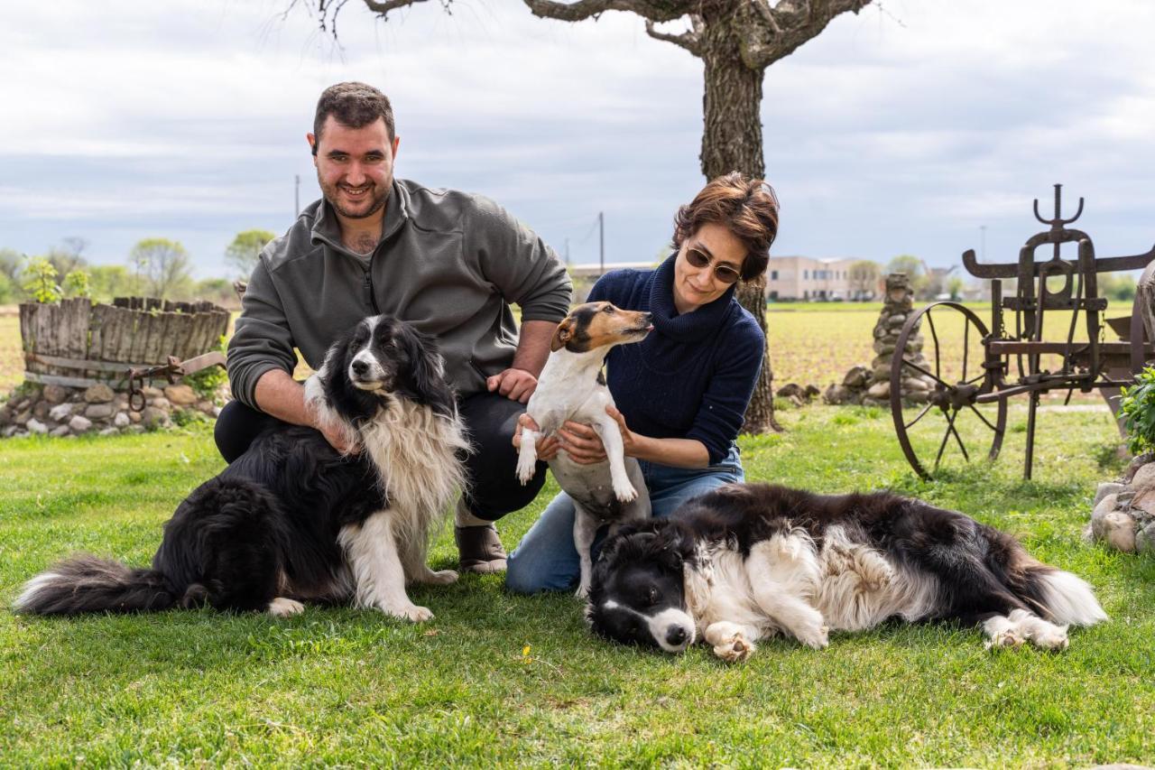 Agriturismo Pozzo Fiorito Castiglione delle Stiviere Kültér fotó