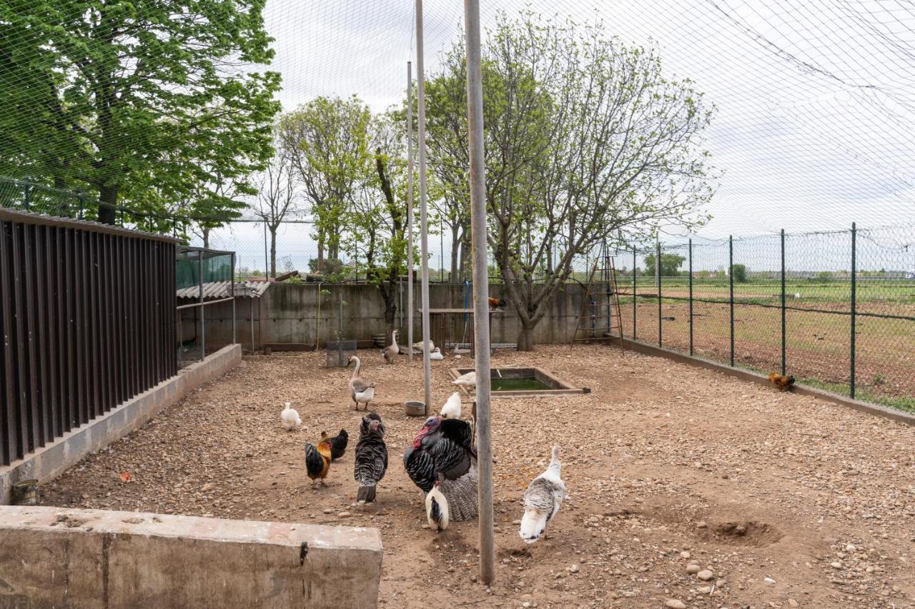 Agriturismo Pozzo Fiorito Castiglione delle Stiviere Kültér fotó