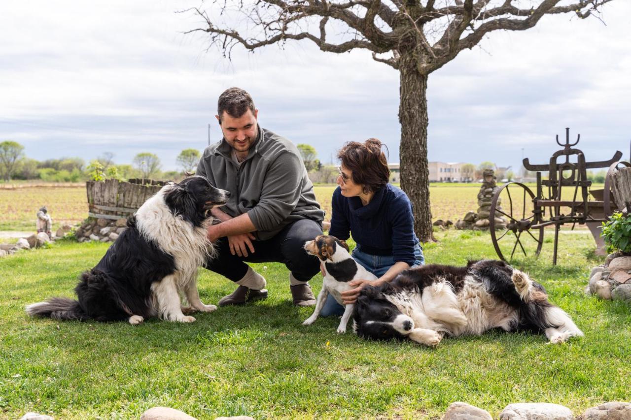 Agriturismo Pozzo Fiorito Castiglione delle Stiviere Kültér fotó