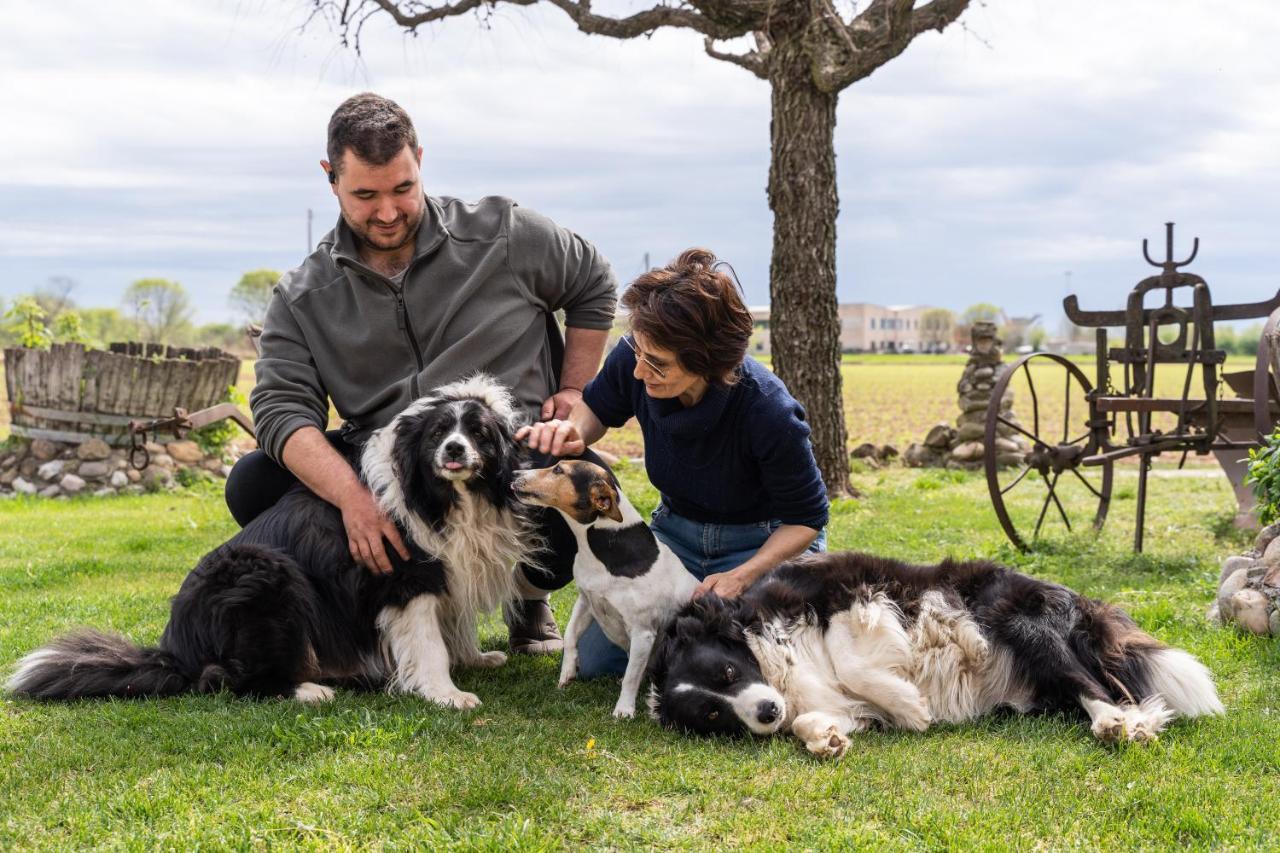 Agriturismo Pozzo Fiorito Castiglione delle Stiviere Kültér fotó