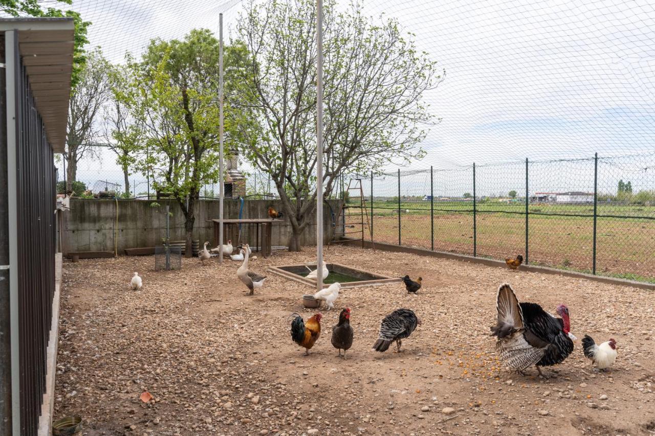 Agriturismo Pozzo Fiorito Castiglione delle Stiviere Kültér fotó