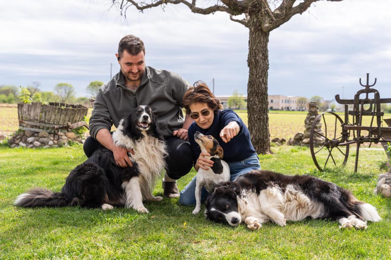 Agriturismo Pozzo Fiorito Castiglione delle Stiviere Kültér fotó