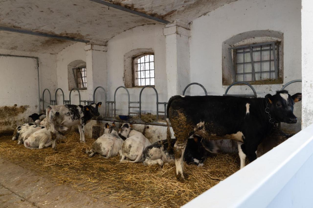 Agriturismo Pozzo Fiorito Castiglione delle Stiviere Kültér fotó