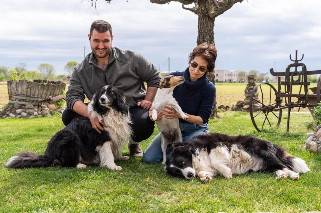 Agriturismo Pozzo Fiorito Castiglione delle Stiviere Kültér fotó